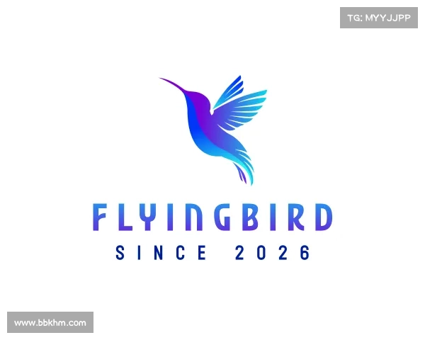认识FlyingBird